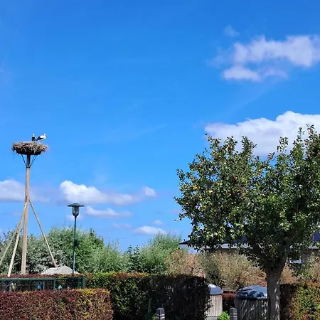 Holiday home Cube Xl 91 I 4 Persoons Op De Betuwe Zennewijnen