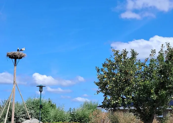 Hébergement de vacances Cube Xl 91 I 4 Persoons Op De Betuwe Zennewijnen